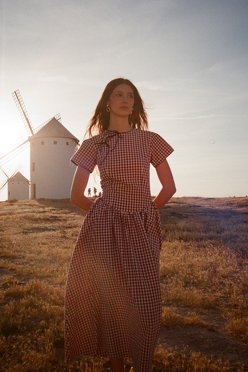 Monique Vichy Dress