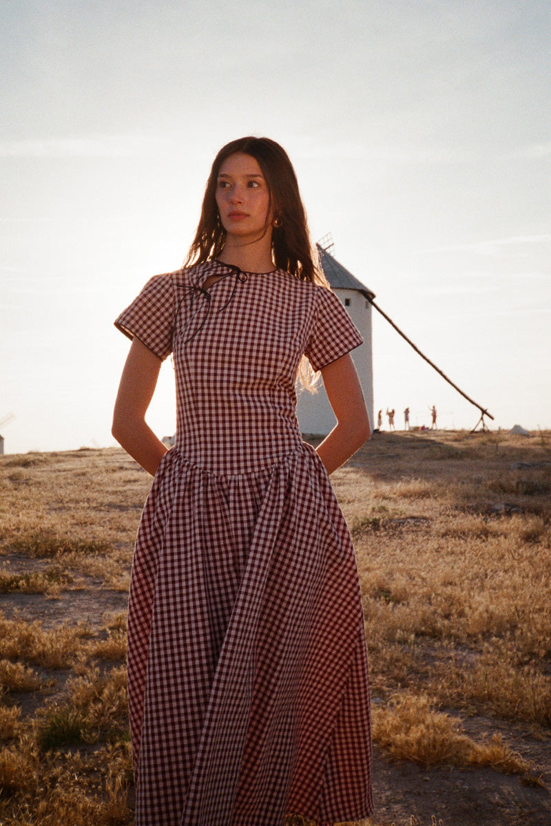 Monique Vichy Dress