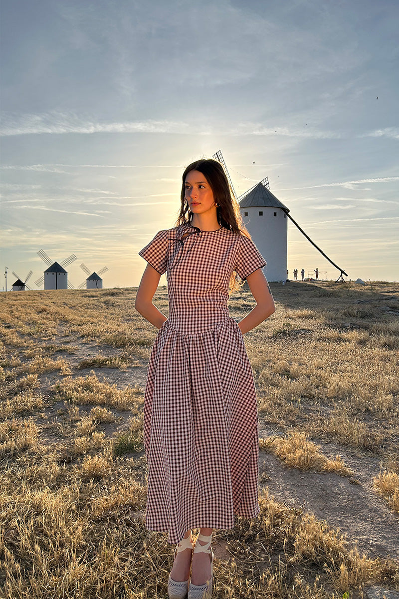 Monique Vichy Dress