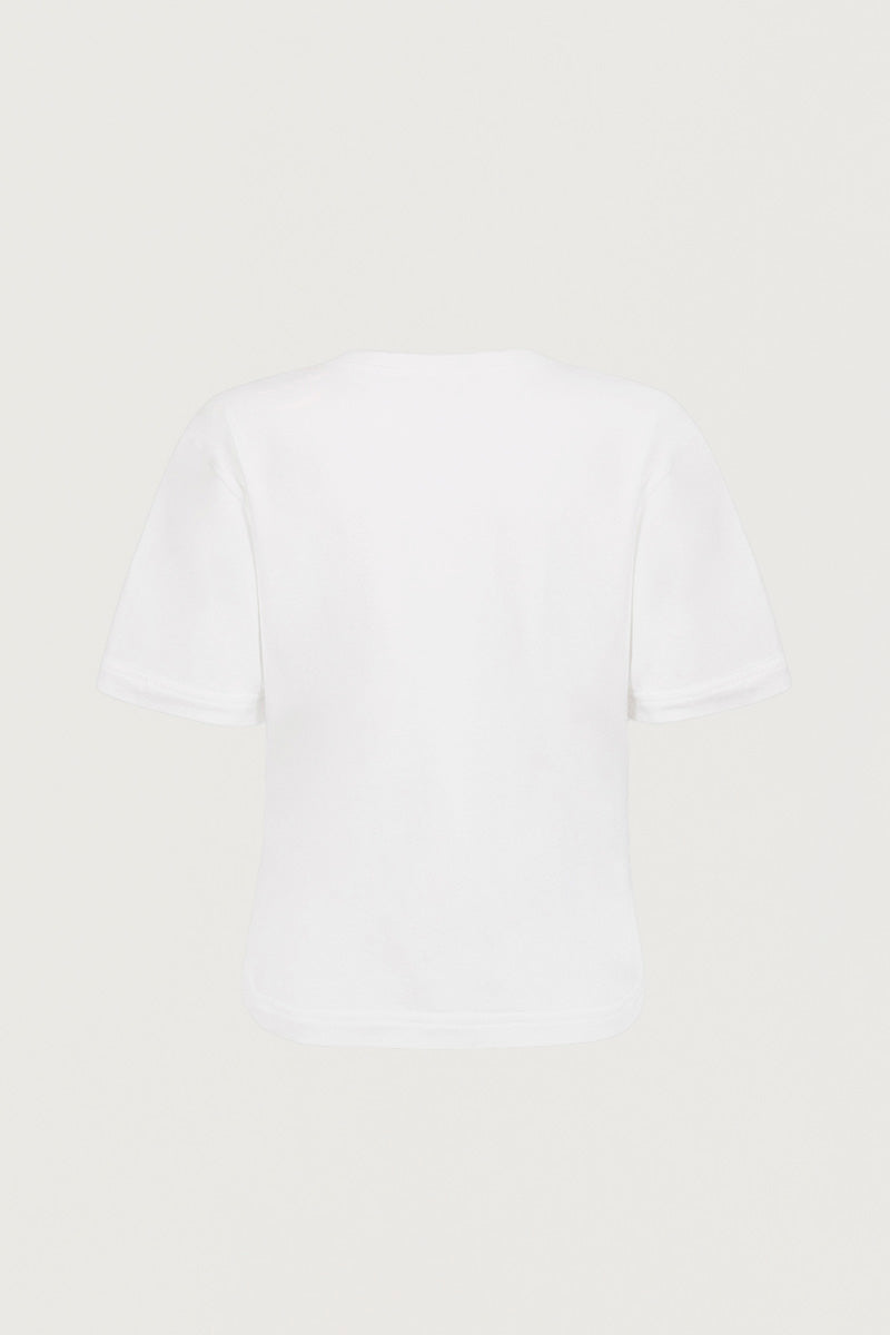 Amlul T-Shirt